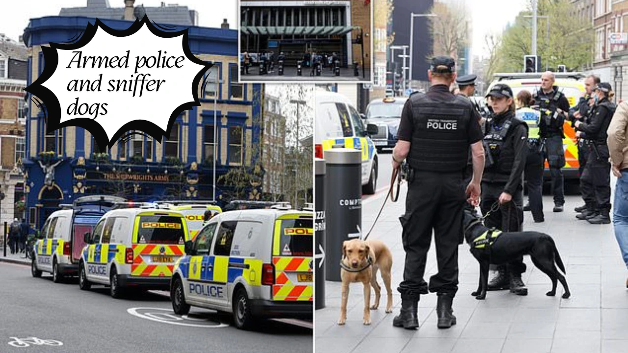 Armed police and sniffer dogs descend on London Bridge station
